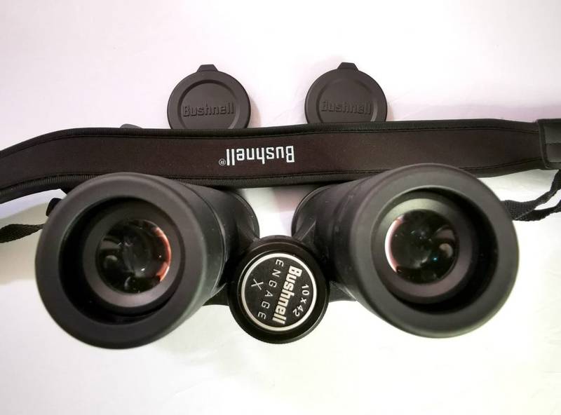 Bushnell Engage X 10x42 Binocular Review - PointOptics